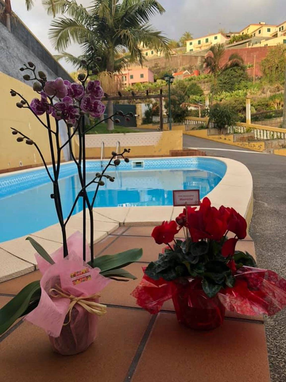 Ganze Wohnung, Angenehme Wohnung mit privatem Pool in Lombo Do Doutor - 50 m² in Calheta, Madeira