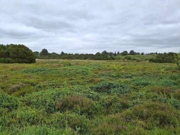Ferienhaus für 6 Personen in Hemmet, Dänemark an der Nordsee, Bild 2