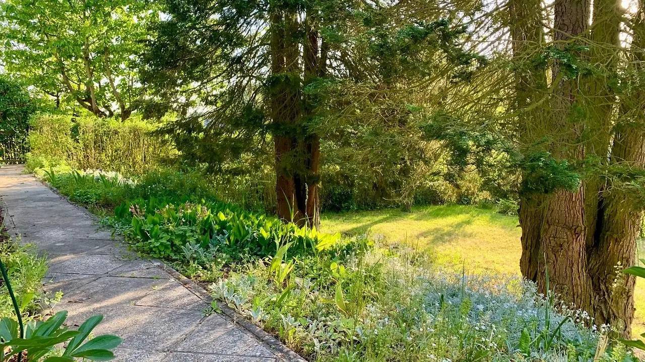 Ferienhaus für 2 Personen (35 m²) in Cammin (Strelitz) in Burg Stargard, Mecklenburg-Strelitz