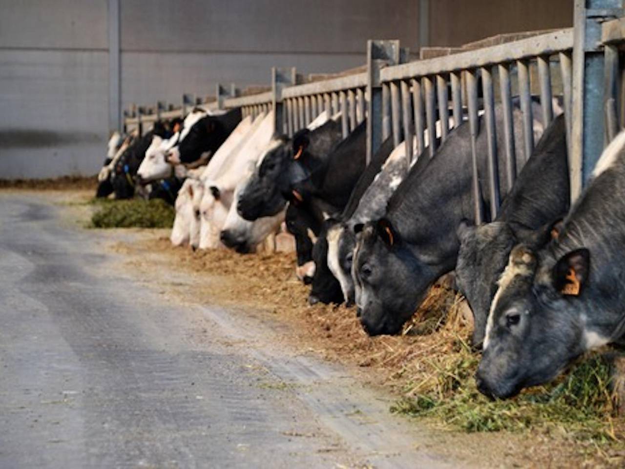 Gezellige hoeve met landelijke ligging in Komen-Waasten, Henegouwen