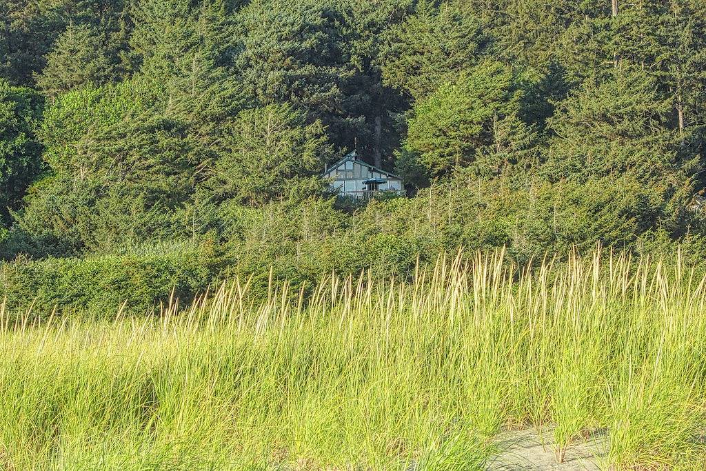 Neue Auflistung! Hundefreundliche Strandhütte mit privatem Weg zum Strand und zum Meer in Copalis Beach, Grays Harbor County