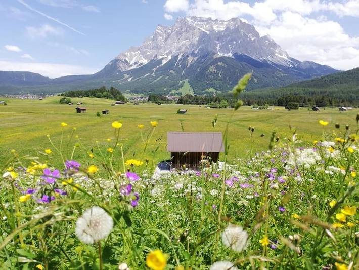 BnB für 2 Personen, mit Terrasse, mit Haustier in Lermoos - 3