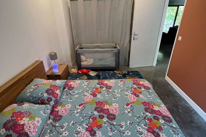 Gîte pour 12 personnes, avec jacuzzi et piscine, animaux acceptés à Lattes - 4