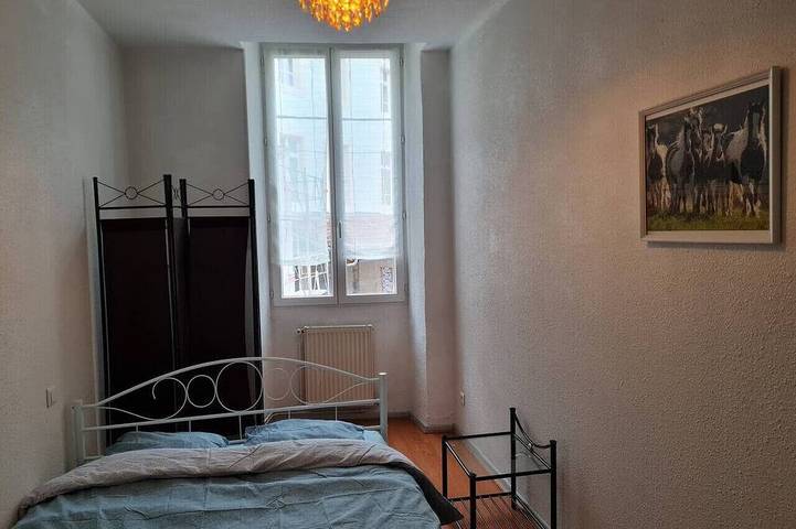 Entire apartment, La Belle Époque, grand appartement central à Foix. in Foix, Ariège
