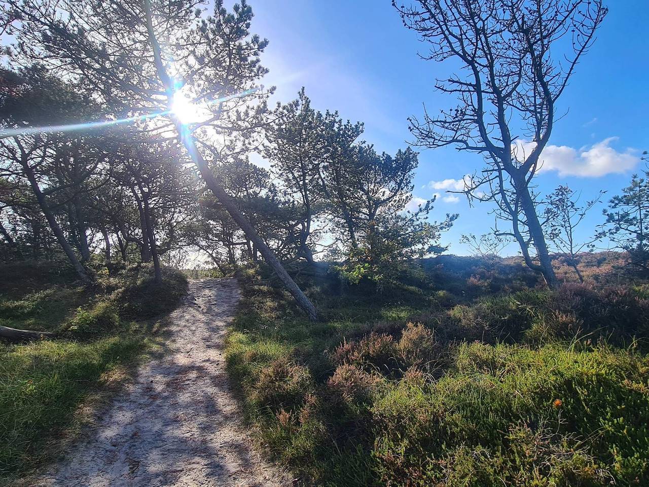 Fredfyldt tilflugt i Bolilmark in Bolilmark, Rømø