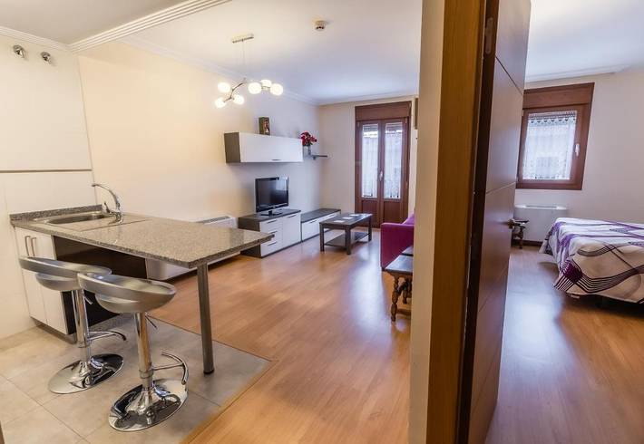 Apartamento de vacaciones para 12 personas, con vistas además de jardín y piscina, Se admiten mascotas en Provincia de Burgos - 2