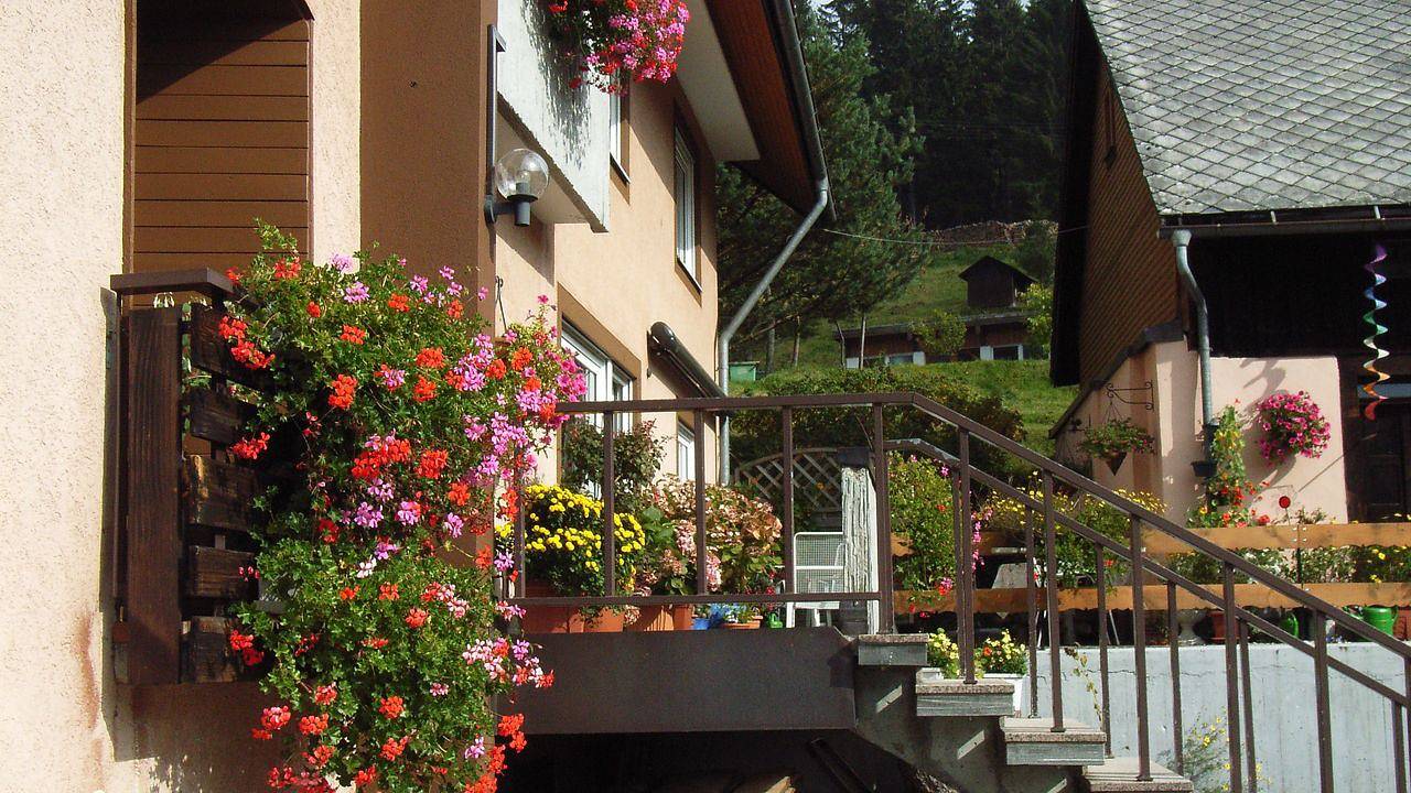 Ganze Ferienwohnung, Ferienwohnung für 2 Personen (45 m²) in Sankt Blasien in Suedlicher Schwarzwald, Sankt Blasien