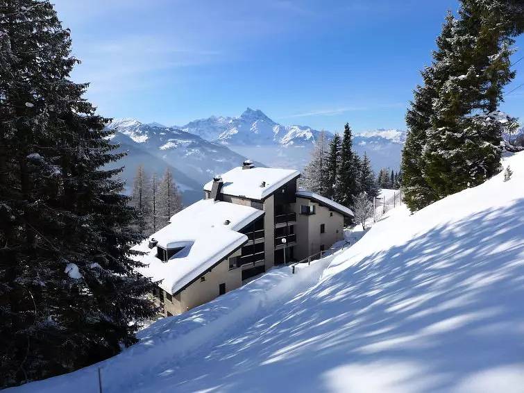 Appartement entier, 1 Pièce 2 Personnes in Gryon, Alpes Vaudoises