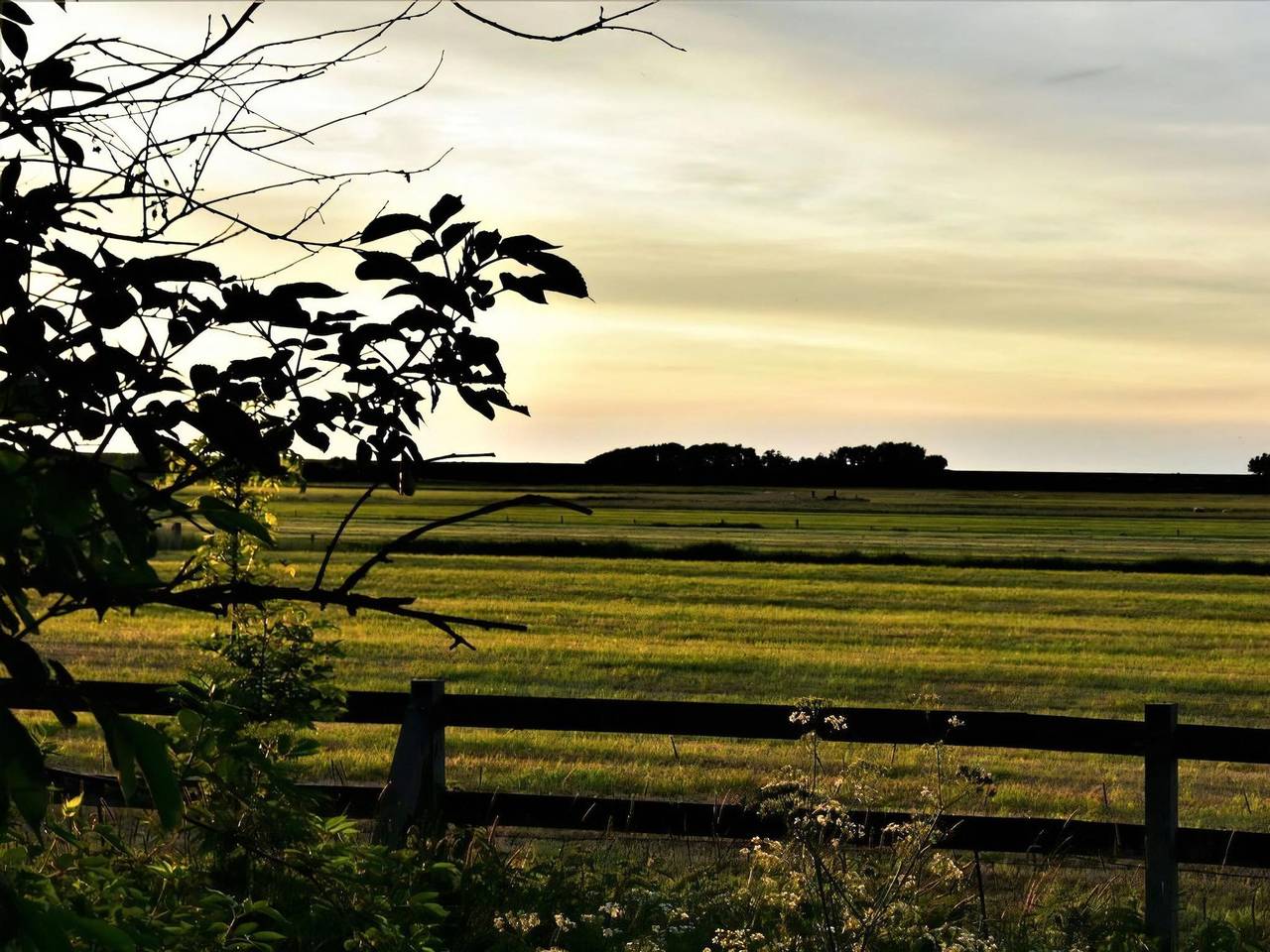 Huus Uelvesbüll - South in Uelvesbüll, Halbinsel Eiderstedt