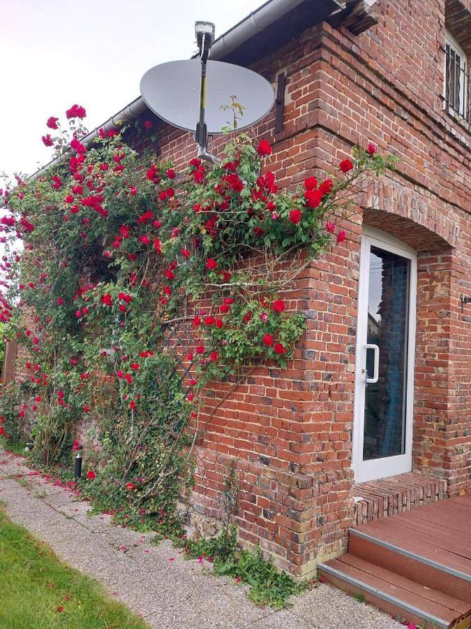 Location de vacances pour 5 personnes, avec terrasse à Ocqueville - 4