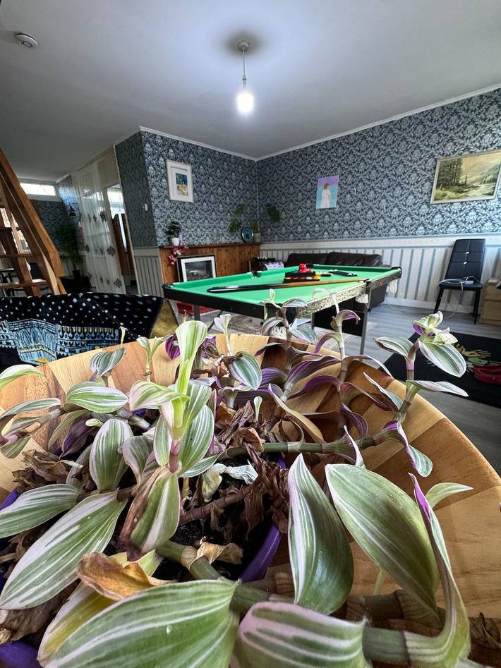 Vacation rental for 9 people, with yard, kid friendly in London