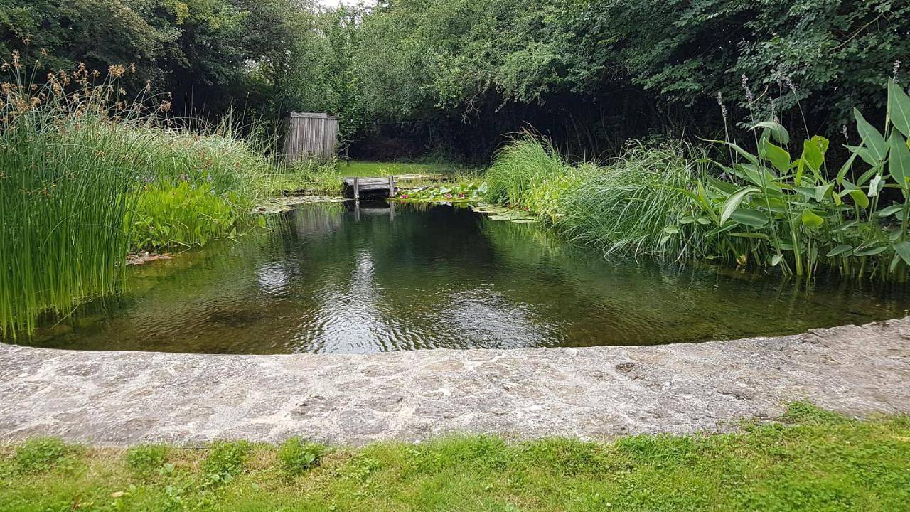 Roulotte climatisée avec piscine naturelle in Vaux, Vienne (France)