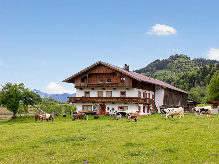 Ferienwohnung für 8 Personen, mit Balkon und Garten am Kaiserwinkl - 4
