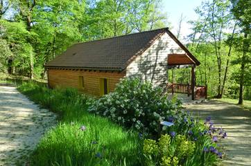 Maison de campagne pour 6 personnes, avec piscine ainsi que terrasse et jardin, animaux acceptés à La Chapelle-Aubareil