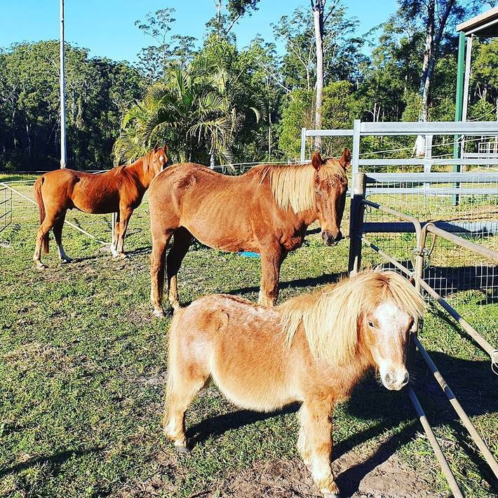 Gîte pour 2 personnes, avec piscine ainsi que jardin et jacuzzi dans Australie - 2