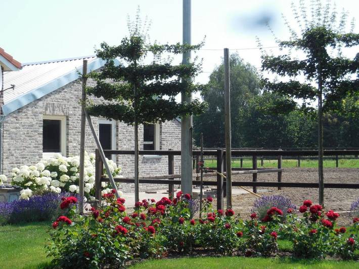 B&b voor 2 personen, with Terras and Tuin as well as Sauna and Uitzicht in Horst aan de Maas