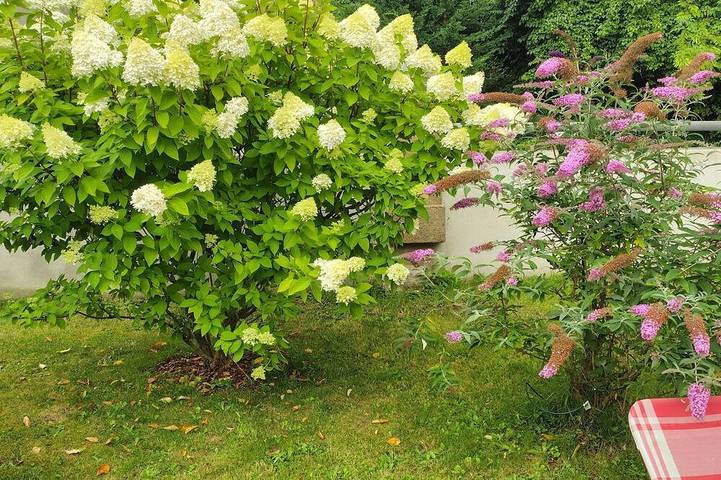 Hotel und Pension preiswert und gut in Hochkirch, Oberlausitz-Niederschlesien