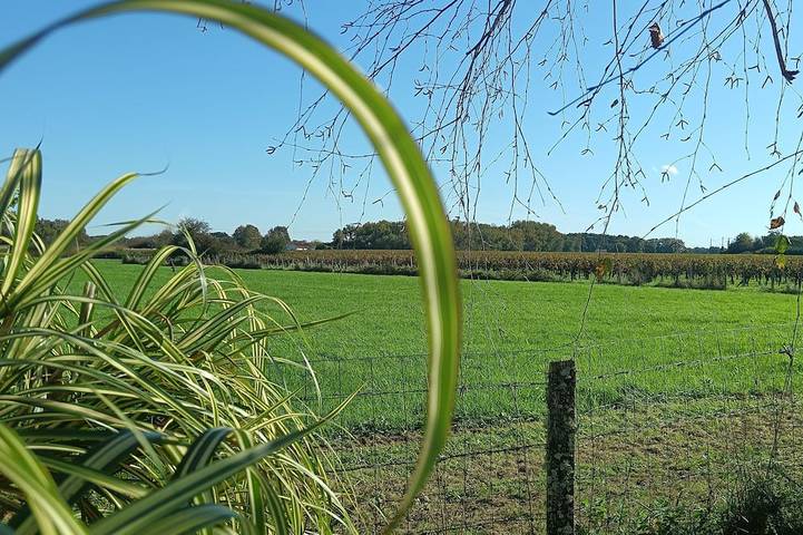 Maison de campagne pour 2 personnes à Saint-Genès-de-Fronsac