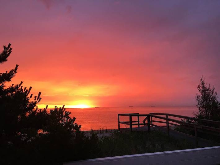 Cabin for 4 people, with terrace, with pets in Delaware