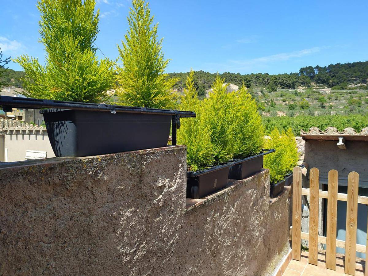 Appartement entier, Cal Ferrer de Tarres in Tarrés, Costers del Segre