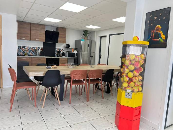 Gîte pour 13 personnes, avec jardin à Saint-Georges-lès-Baillargeaux - 4