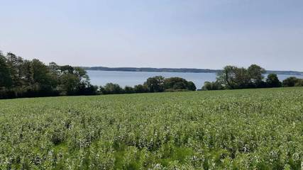 Ferienhaus Mit Meerblick für 5 Personen in Apenrade, Region Süddänemark, Bild 3