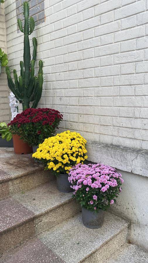 Gîte pour 6 personnes à La Garenne-Colombes - 2