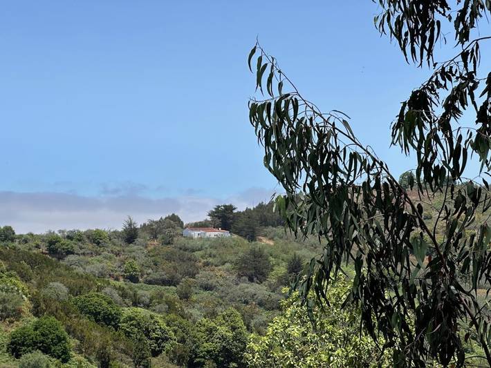 Casa rural para 4 personas, con terraza en Moya - 3