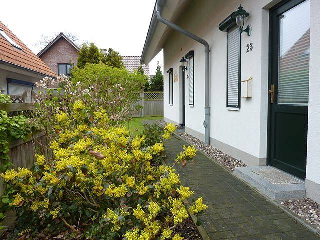 Ferienhaus für 4 Personen, mit Sauna und Terrasse in Am Schwarzen Busch - 3