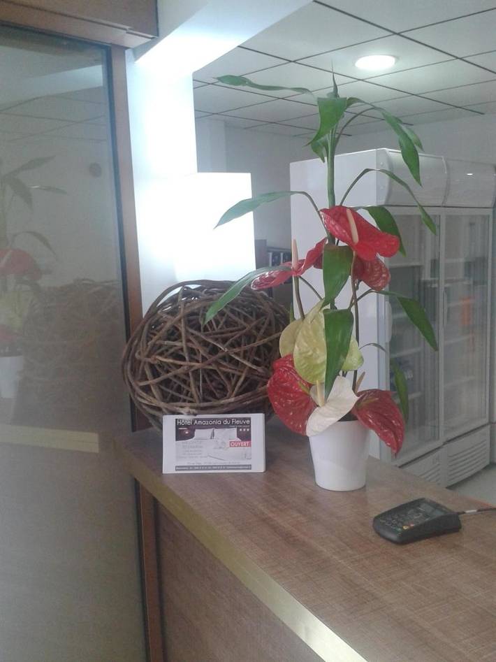 Hôtel pour 2 personnes, avec balcon à Saint-Laurent-du-Maroni - 4