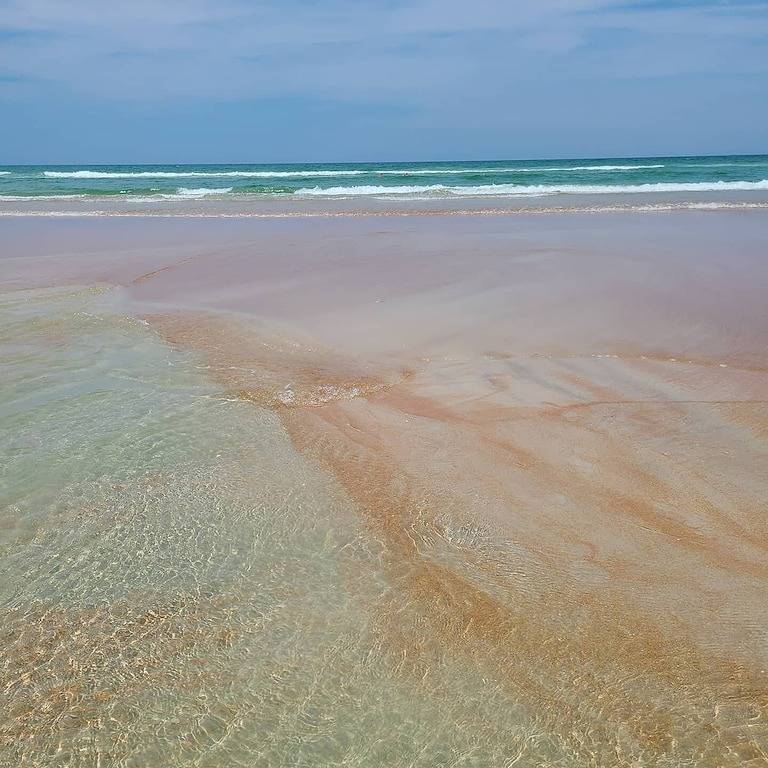 Ganze Wohnung, Coral Cottage Ocean Front Property in Daytona Beach, Florida