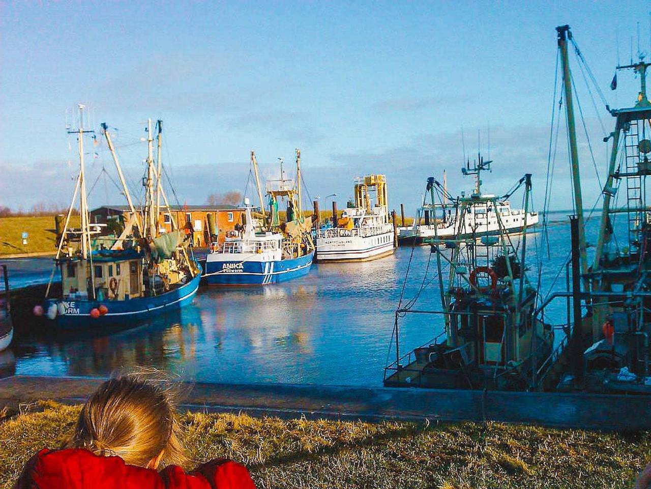 Ganze Ferienwohnung, Watt'n Glück Grüner Deich in Pellworm, Nordsee - Schleswig-Holstein