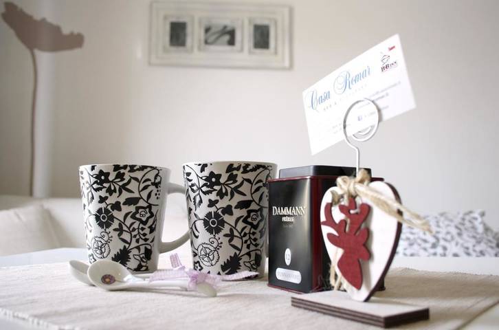 Chambre d’hôte pour 3 personnes, avec balcon à Turin - 3