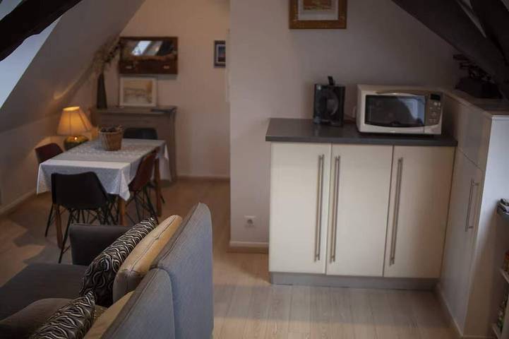Holiday apartment for 3 people, with pets - 1