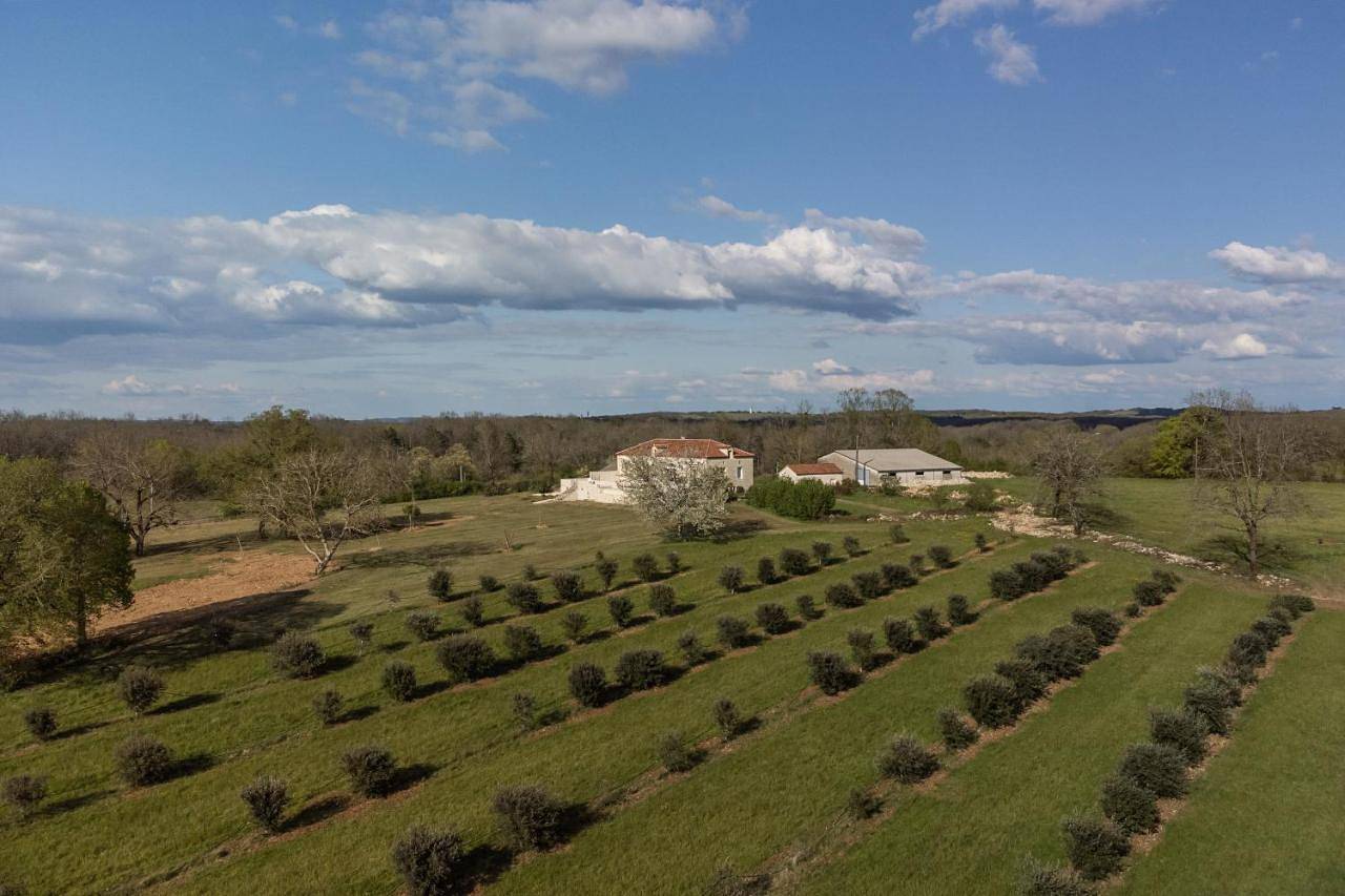 Aux Truffes de Combecave in Mauroux, Quercy