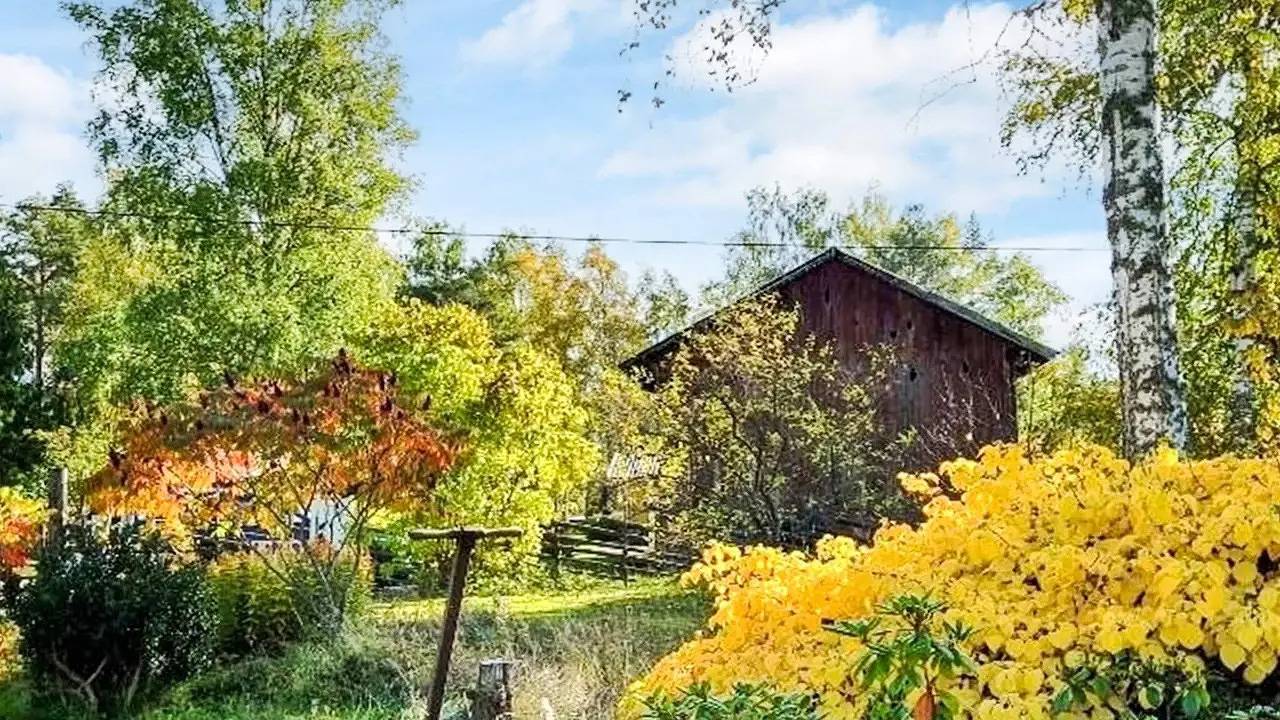 Ferienhaus für 5 Personen (67 m²) in Hallstavik in Stockholm und Umgebung