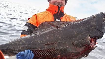 Ferienhaus für 11 Personen, mit Terrasse in Senja