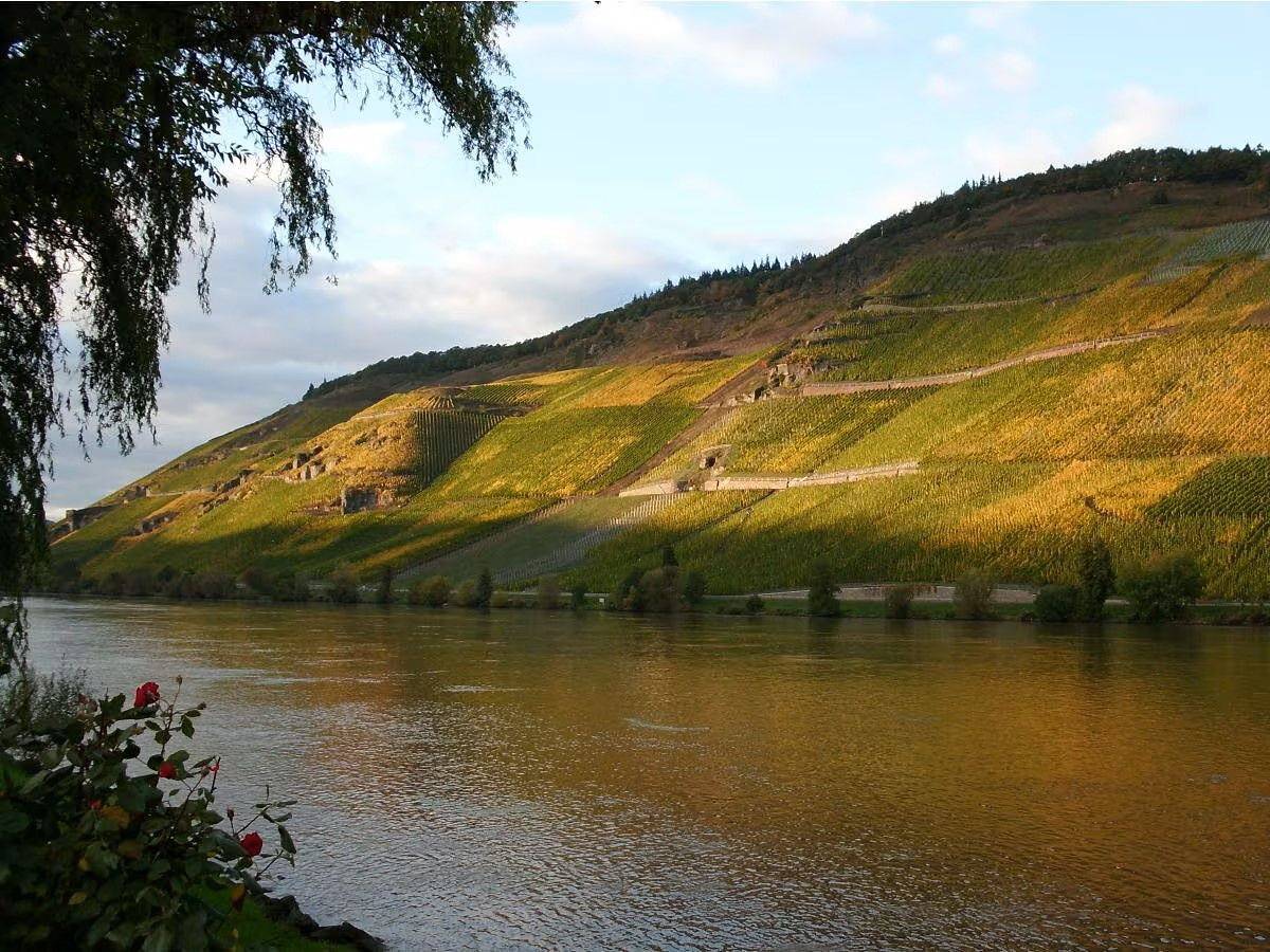 Ganze Wohnung, Komfortable Ferienwohnung mit überdachtem Balkon und außergewöhnlichem Moselblick in Bernkastel-Kues, Bernkastel-Kues & Umgebung