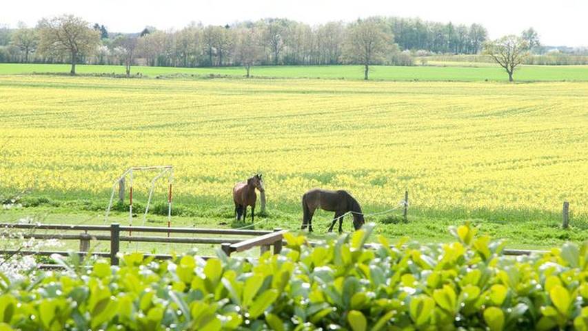 Ferienhaus für 6 Personen, mit Garten und Terrasse in Pommerby - 2