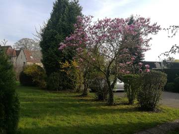 Ferienwohnung für 2 Personen in Bad Pyrmont, Weserbergland, Bild 1
