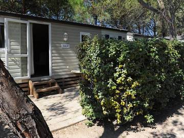 Camping per 4 Persone in Calvi, Corsica del Nord, Foto 1