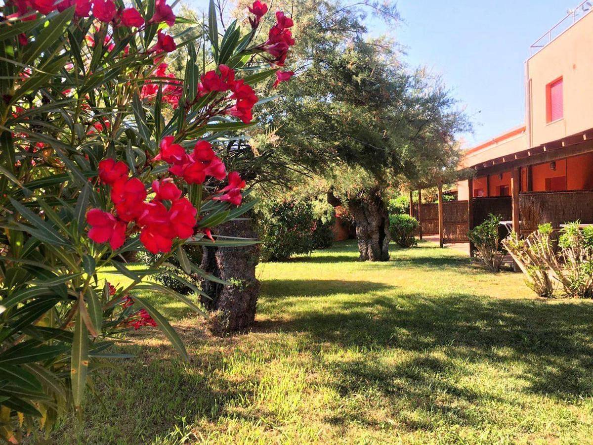 Regina Del Mare Holiday Apartments in Pisa, Etruscan Coast