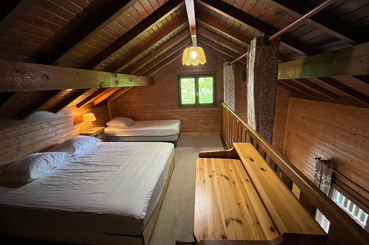 Chalet pour 10 personnes, avec jardin et balcon, animaux acceptés à Bussang - 3