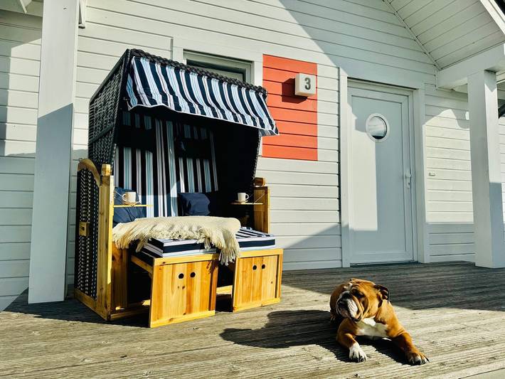 Ferienhaus für 6 Personen, mit Garten und Sauna, mit Haustier in Schlei - 4