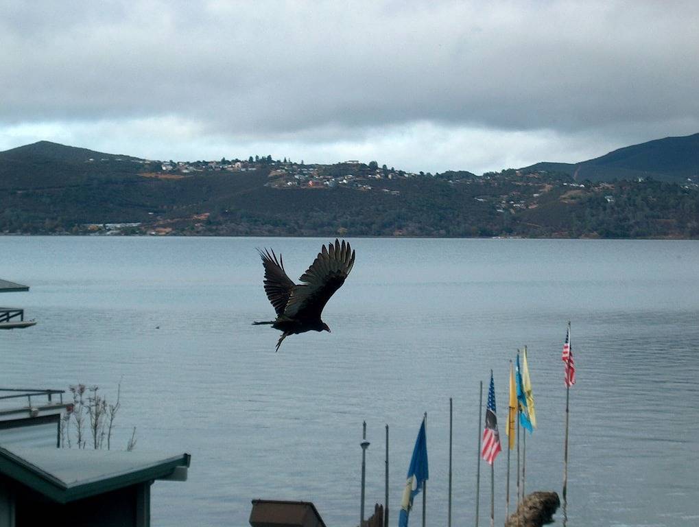 Fantastische Aussicht auf See und Mount Konocti, Dock, Pool und Billardtisch. in California North Coast