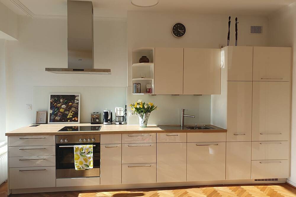 Ganze Wohnung, Gemütliches Apartment mit Küche - fußläufig zu Museumsmeile und Rheinauenpark in Bonn, Rheinland