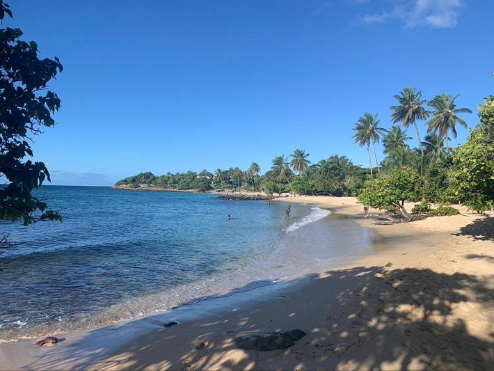 Gîte pour 4 personnes, avec vue ainsi que piscine et jardin à Rivière-Pilote - 2