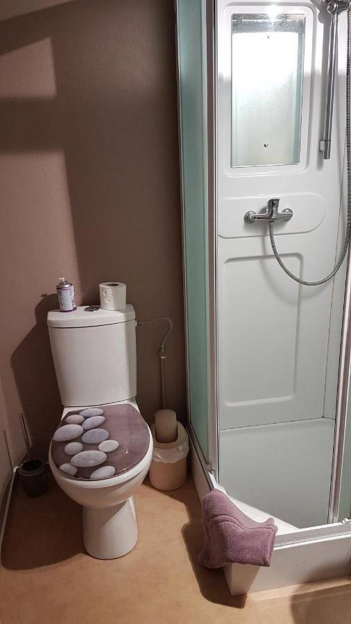 Location de vacances pour 17 personnes, avec terrasse à Niderviller - 4