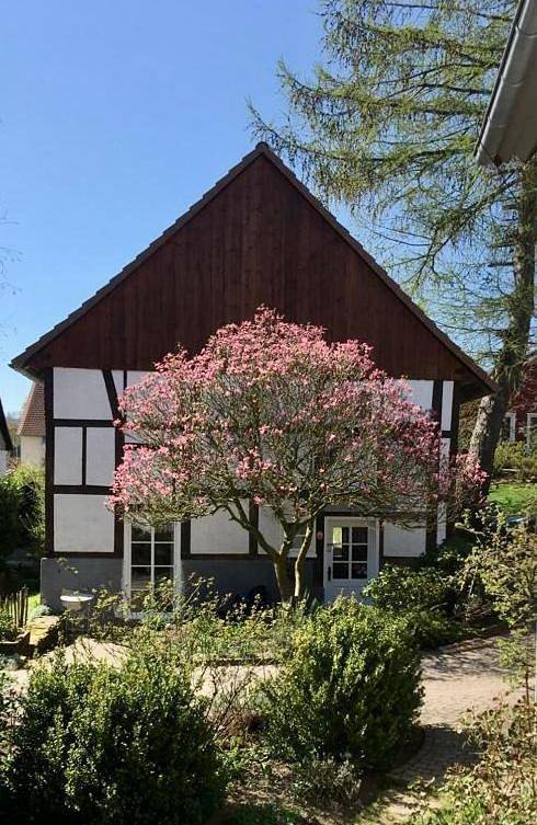 Gemütliches Ferienhaus im Extertal/ Lippe in Extertal, Kreis Lippe
