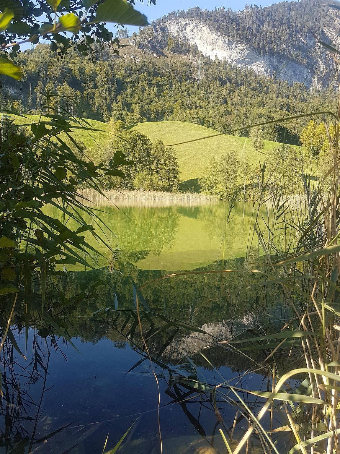 Einzelzimmer ohne Balkon in Alpbach, Kaisergebirge